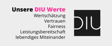 DIU Werte_796x329