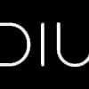 DIU_logo_150-5